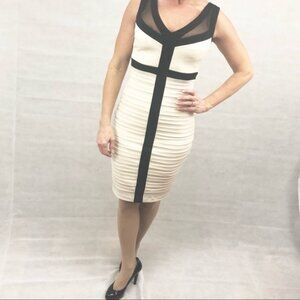 JAX Sleeveless Dress, V-Neck Sheath Dress Size 2